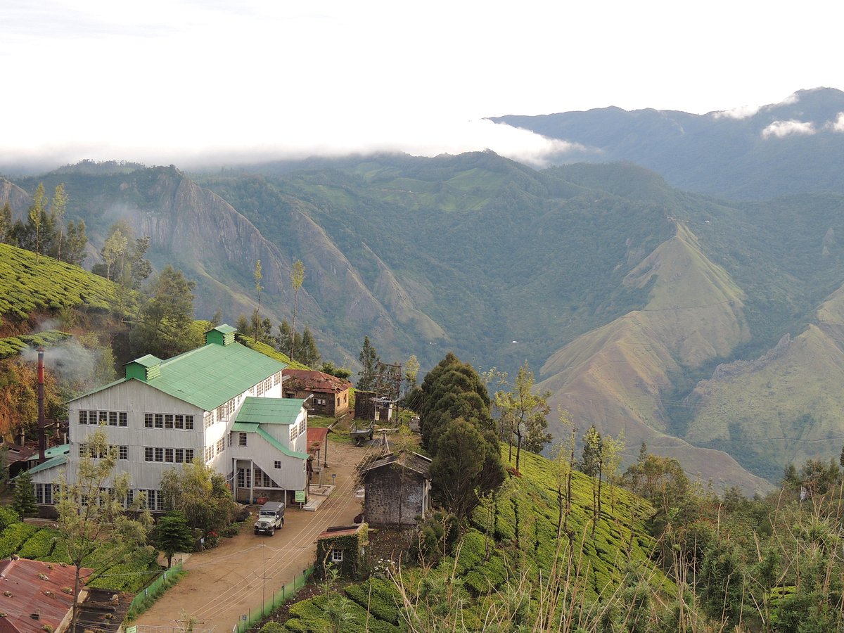 kolukkumalai-tea-estate